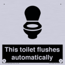this-toilet-flushes-automatically~